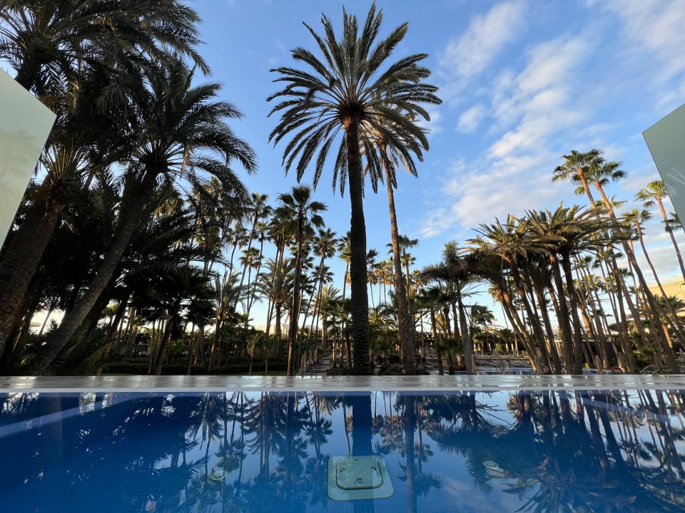 Ausblick Hotel Riu Palace Oasis