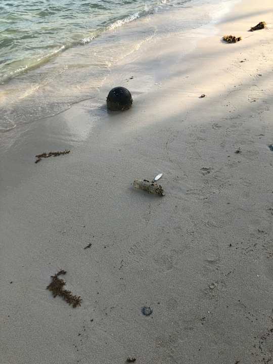 Strand Hotel Al's Hut