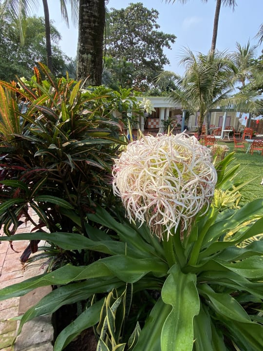 Gartenanlage La Veranda Resort Phu Quoc