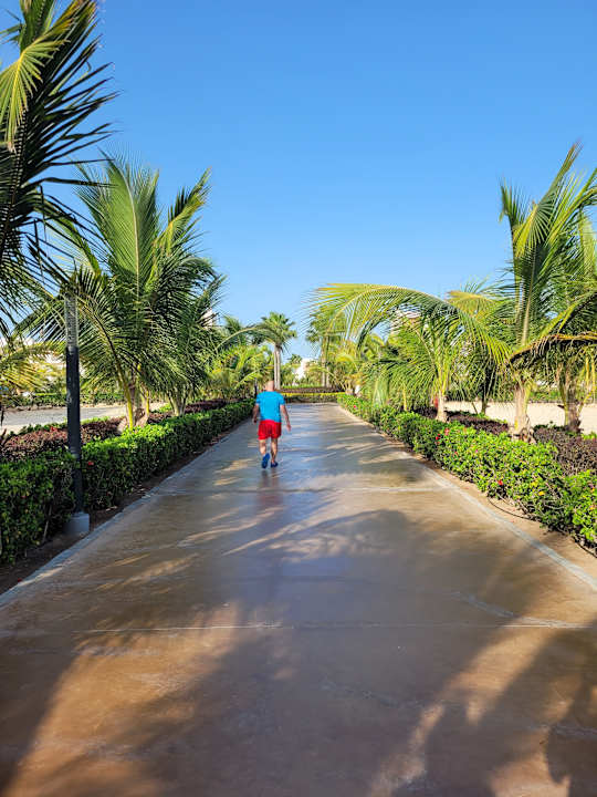 Gartenanlage Hotel Riu Palace Santa Maria