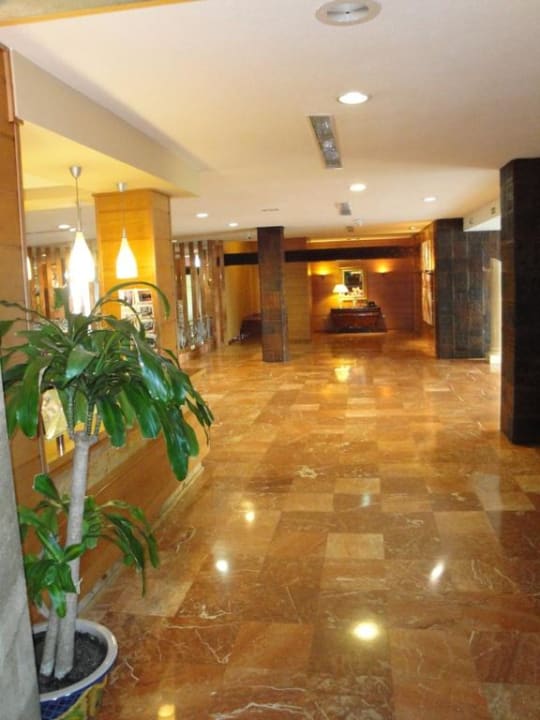 Recepcja BLUESEA Al Andalus