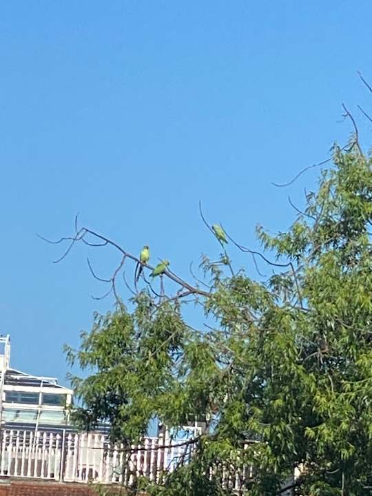 Ausblick Hotel NH Collection Heidelberg