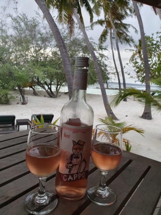 Ausblick Kuredu Island Resort & Spa