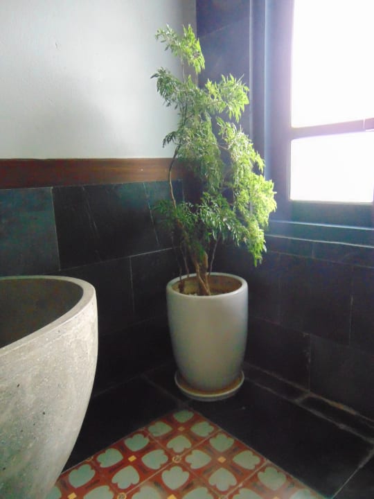 Zimmer Le Clos Du Fil