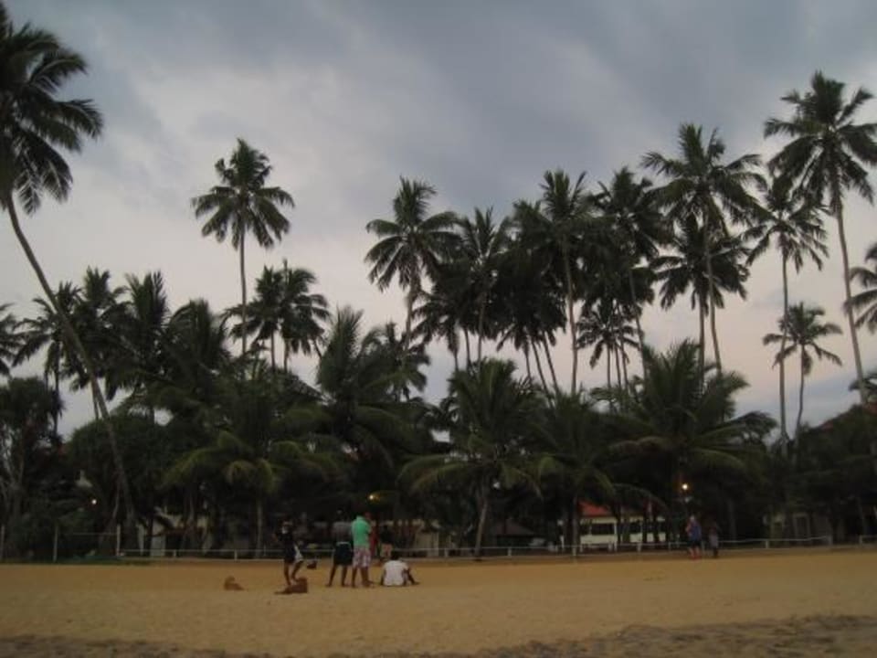 Hotel vom Strand aus gesehen Mermaid Hotel & Club