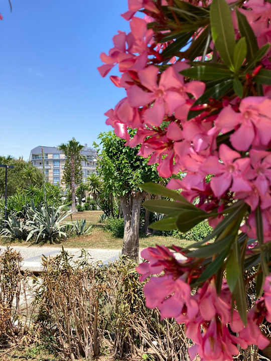 Außenansicht Seamelia Beach Resort