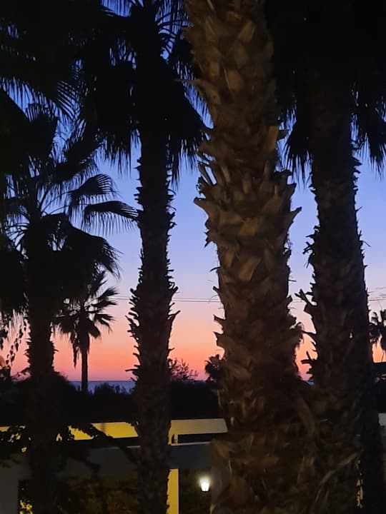 Ausblick Hotel Royal Garden Beach