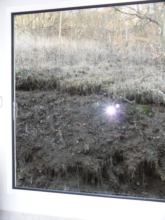 Ausblick für die Zimmer nach hinten raus REGIOHOTEL Schanzenhaus Wernigerode