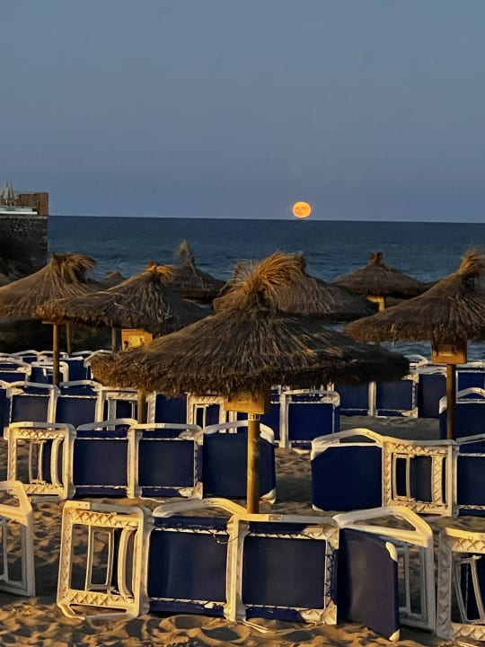 Strand Son Moll Sentits Hotel & Spa