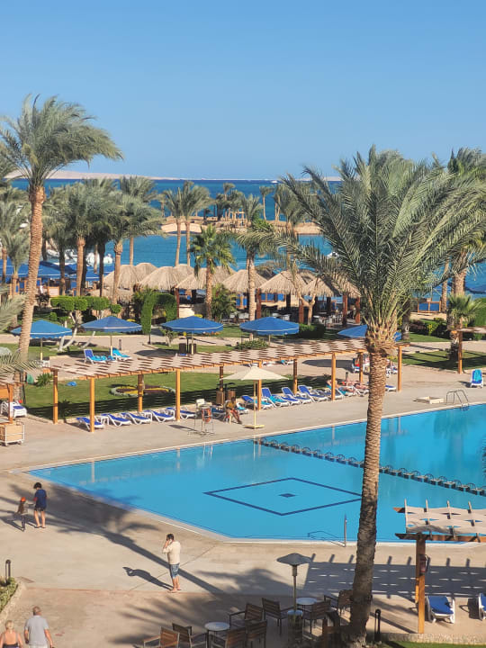 Pool Continental Hotel Hurghada