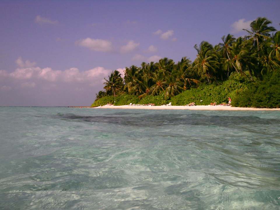 Wasser super klar Biyadhoo Island Resort