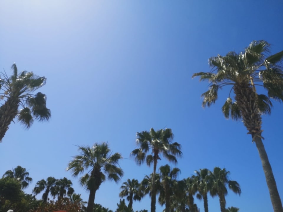 Gartenanlage VONRESORT Golden Coast