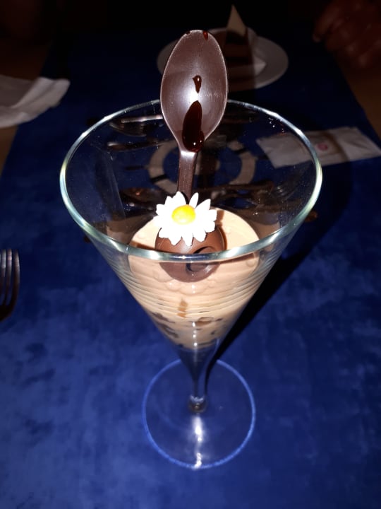 Gastro Acanthus Cennet Barut Collection