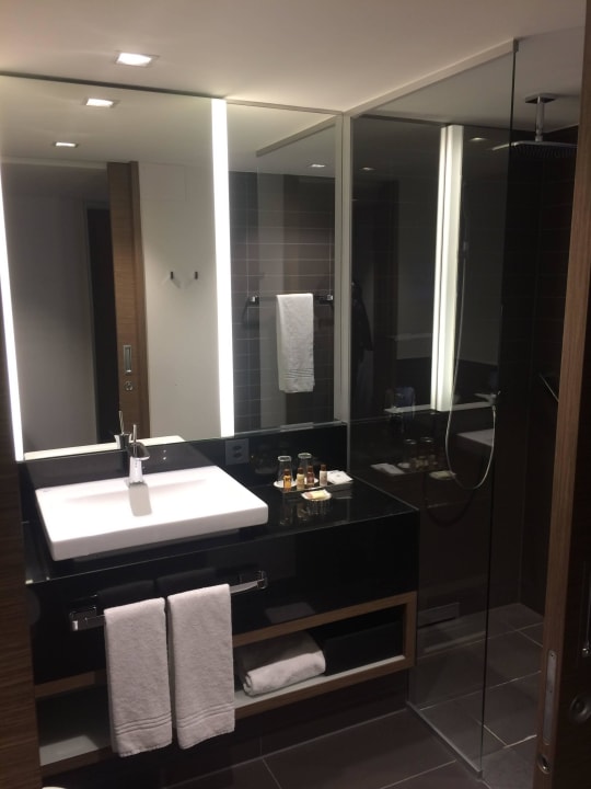 Modern bath  Sheraton Zürich Hotel