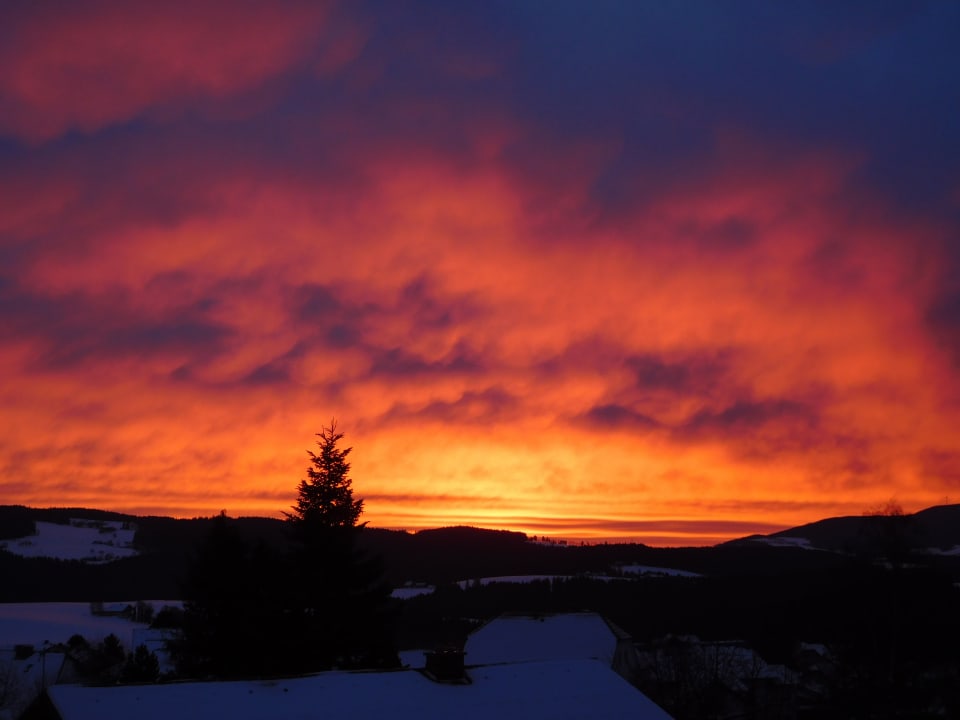 Ausblick Mein Hotel Fast