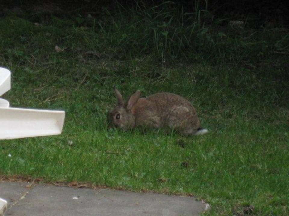Vor unserem Mobilheim Südsee-Camp | Sommarbÿ-Ferienhäuser