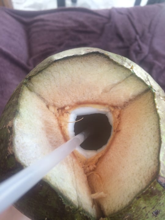 Gastro Secrets Akumal Riviera Maya - Adults only