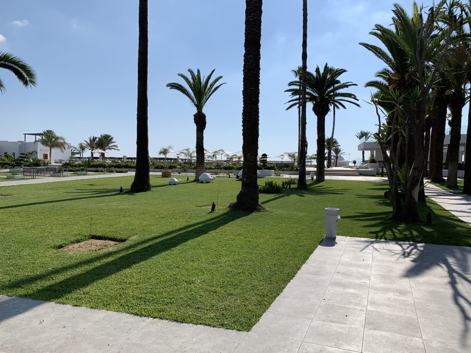 "Gartenanlage" The Orangers Garden Villas & Bungalows (Hammamet