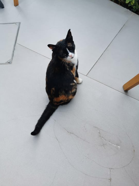 Sonstiges Harmony Boutique Resort