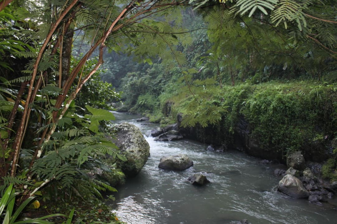 Fluß in der Gartenanlage Maya Ubud Resort & Spa Bali