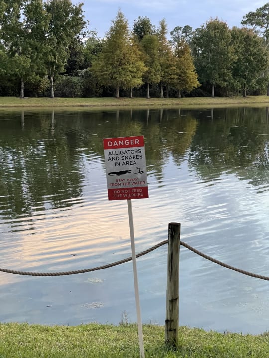 Gartenanlage The Grove Resort & Water Park Orlando