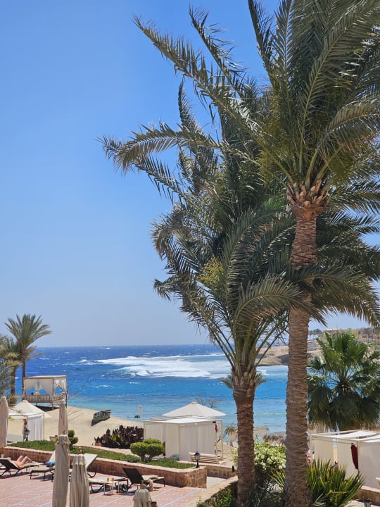 Ausblick Steigenberger Coraya Beach - Adults only