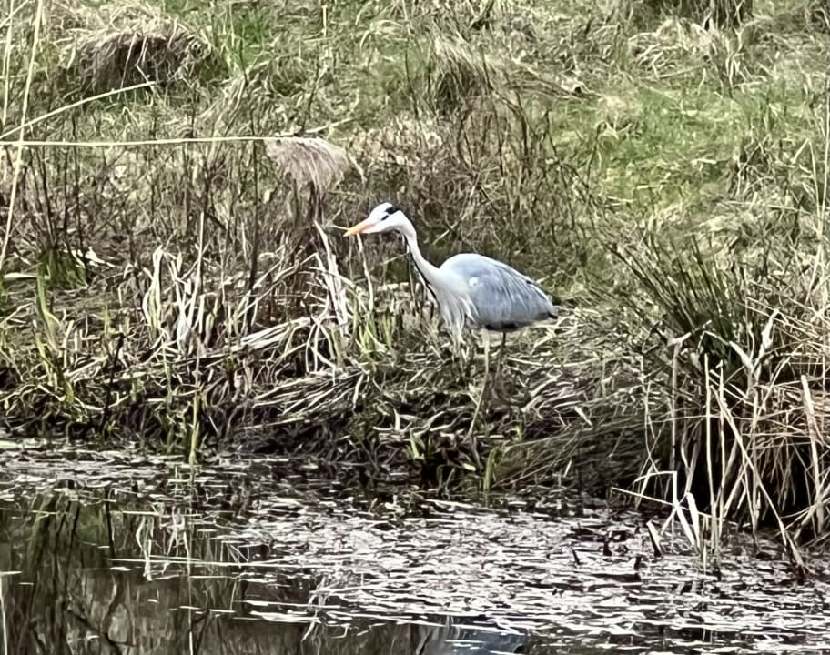 Gartenanlage Villages Nature Paris