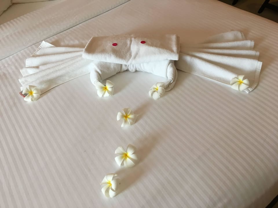 Bettdeko Turyaa Kalutara