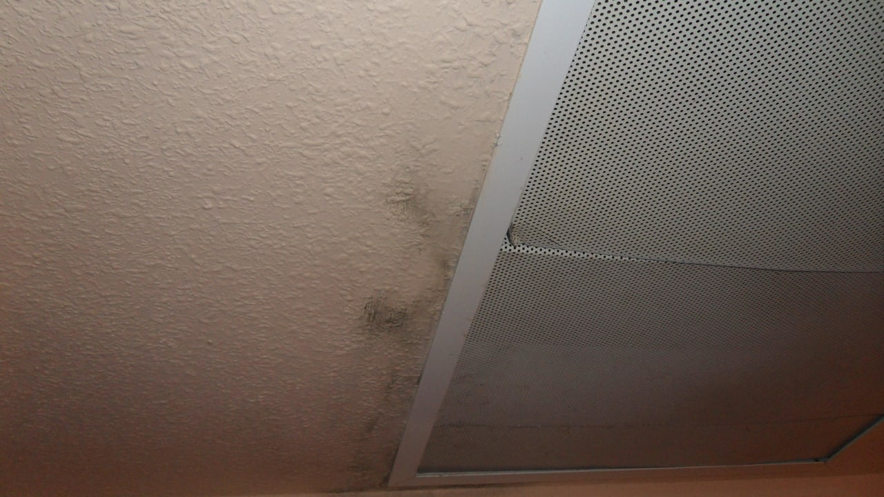 Schimmel an der Decke Green Garden Aparthotel