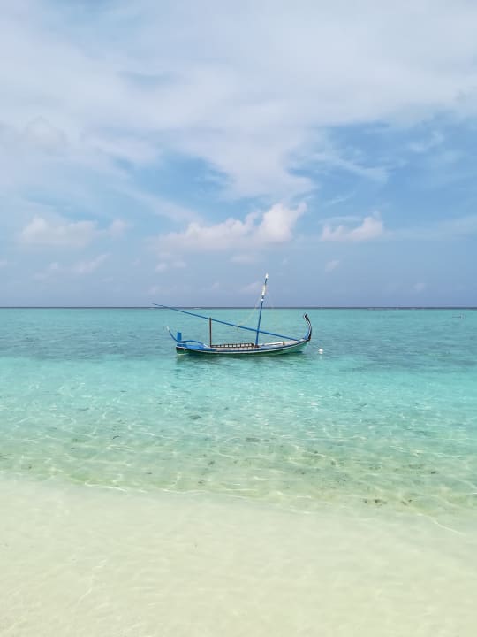 Ausblick Summer Island Maldives