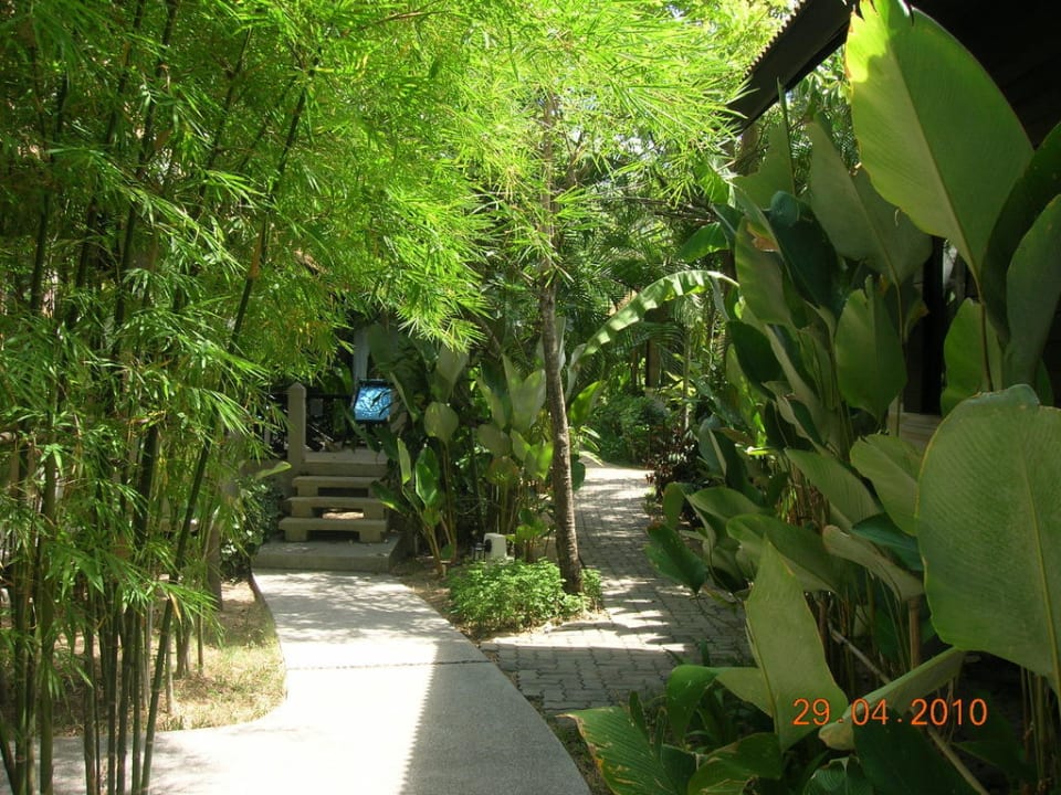 Weg zu den Bungalows NH Collection Samui Peace Resort