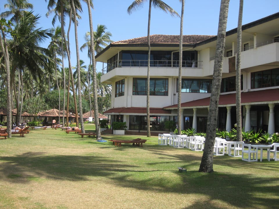 Blick in den Garten Tangerine Beach Hotel