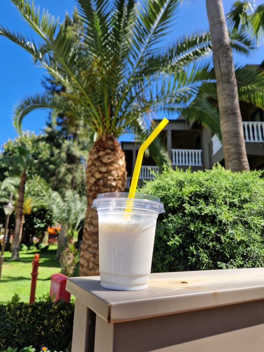 Gastro Sailor's Beach Club