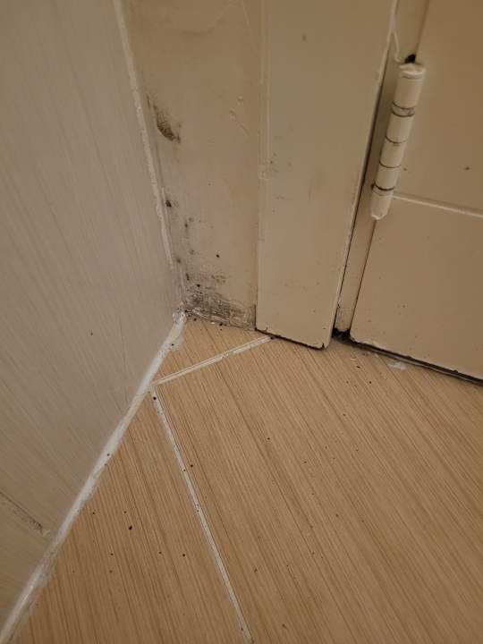 Zimmer Prenses Sealine Beach Hotel