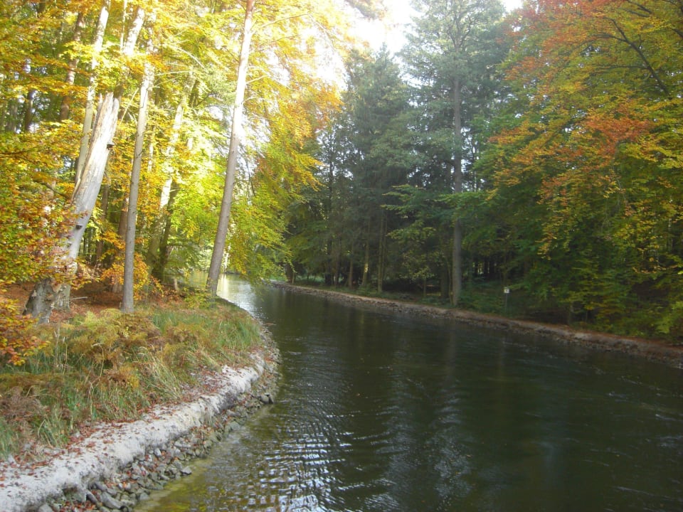 Wunderschöner Herbstwald Seehotel Lindenhof
