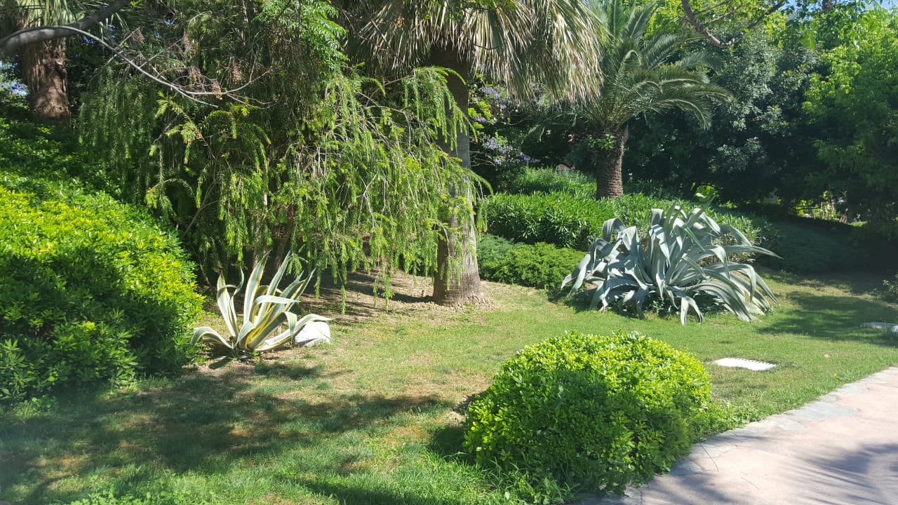 Gartenanlage Starlight Resort Hotel