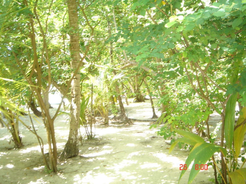 Weißer Sand überall auf der Insel Embudu Village