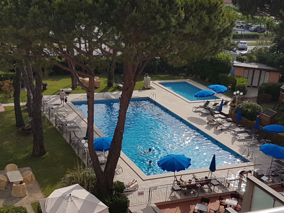 Pool Versilia Palace Hotel