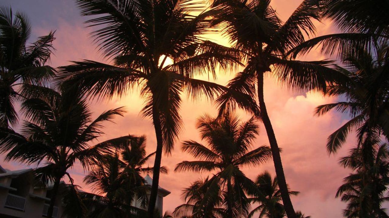 Abendglühen Hotel Riu Palace Macao - Adults only