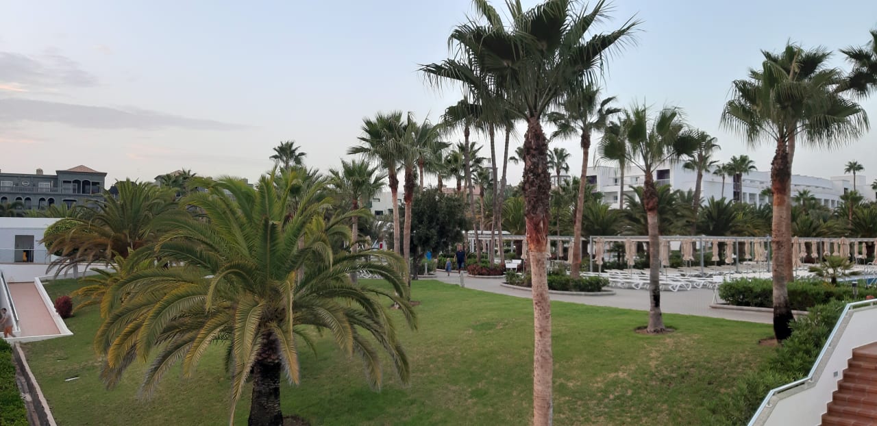 Gartenanlage Hotel Riu Gran Canaria