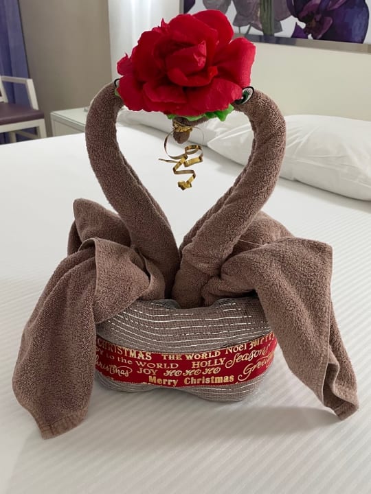 Zimmer Hotel Riu Playacar