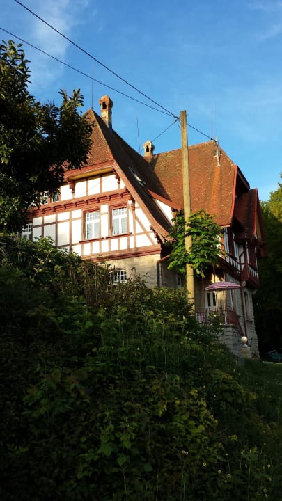 Tierberg von hinten Hotel Storchenturm