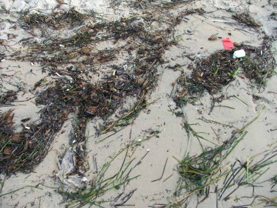 Wodorosty Alassio Hotel and Thalasso