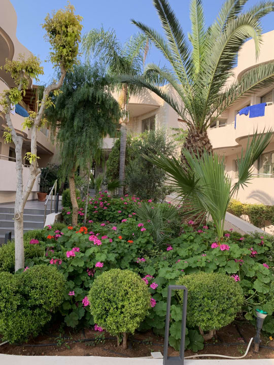 Gartenanlage Cactus Beach
