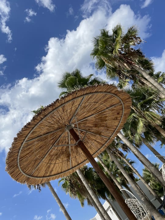 Sonstiges Delfina Tropic Beach