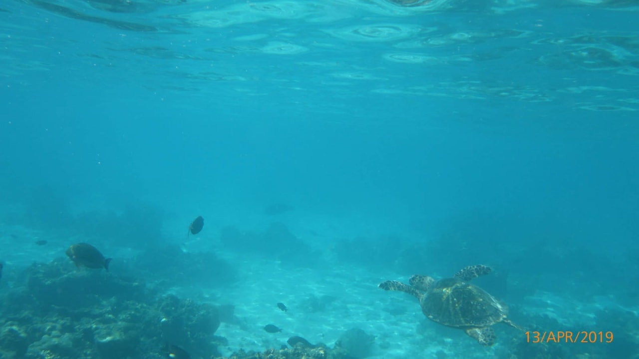 Sport & Freizeit Summer Island Maldives