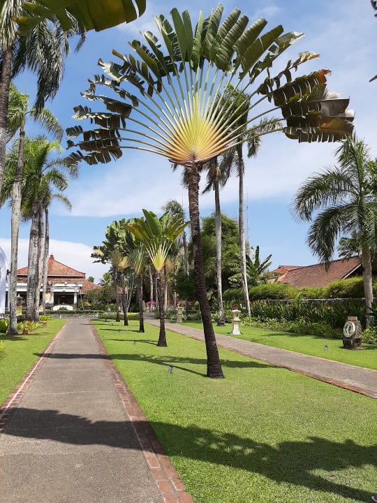 Gartenanlage Paradisus by Melia Bali