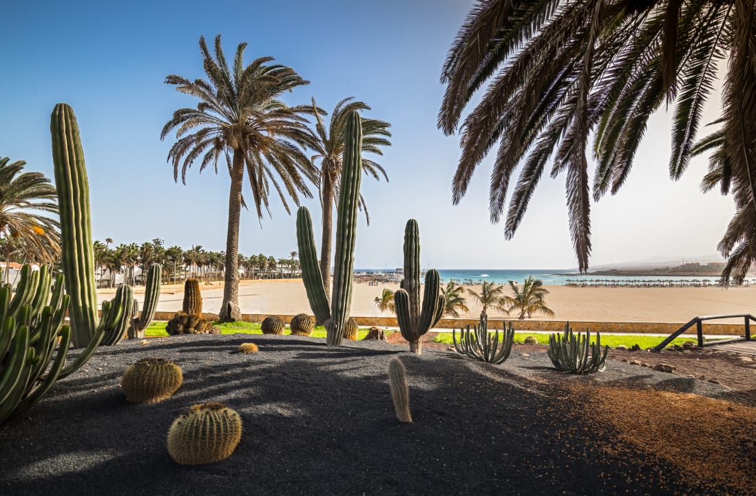 Ausblick Barceló Fuerteventura Royal Level Adults Only
