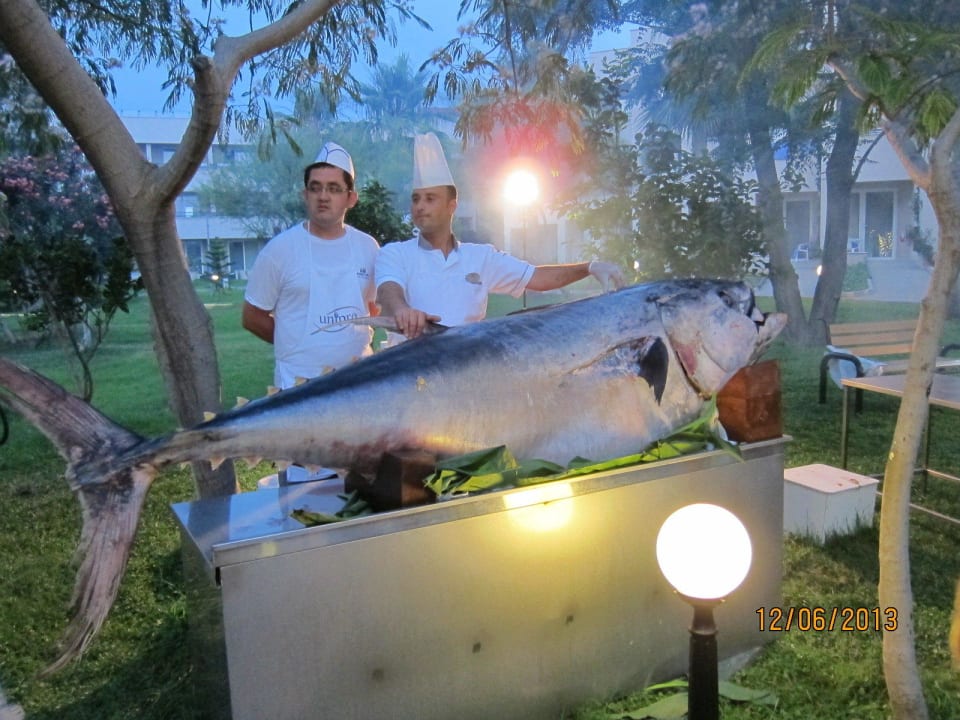 Galaabend im Garten. Tunfischsteaks ganz frisch. Labranda Alantur Resort