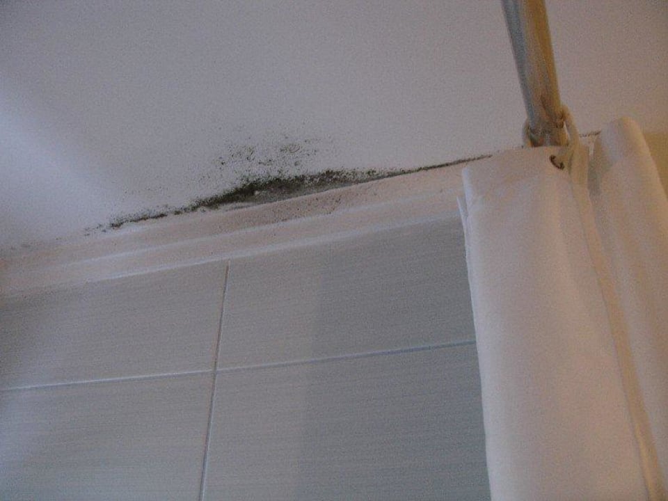 Schimmel Xenia Ouranoupolis